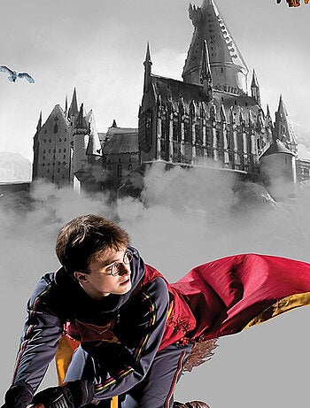 Poster intissé Harry Potter Quidditch 3 personnages - 150 x 270 cm