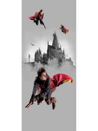 Poster intissé Harry Potter Quidditch 3 personnages - 150 x 270 cm