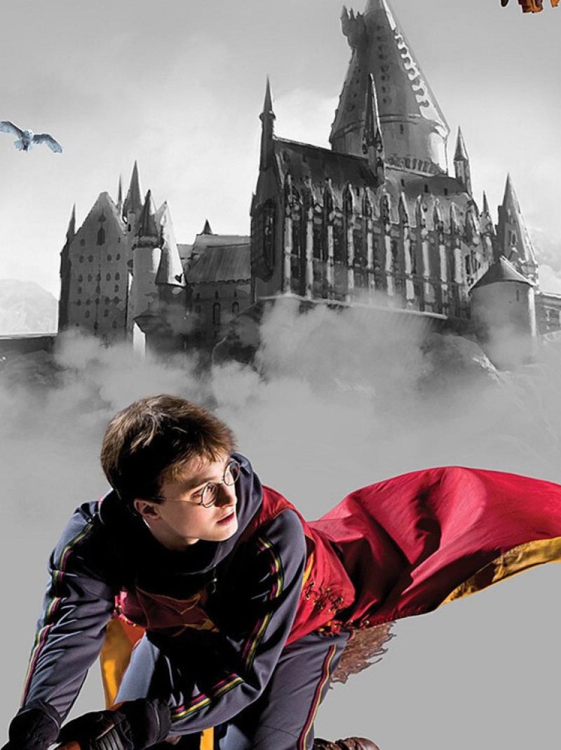Poster intissé Harry Potter Quidditch 3 personnages - 150 x 270 cm Multicolore - Kiabi