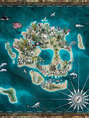 Poster intissé ile déserte en forme de tête de mort, pirates animaux marins - 250 x h250 cm