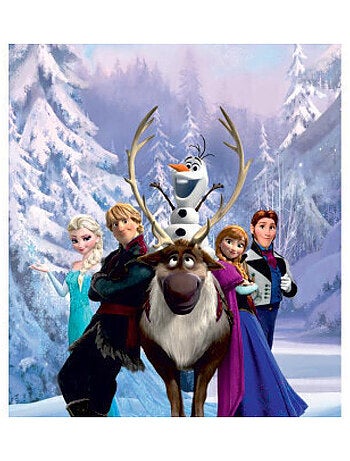 Poster Porte La Reine des Neiges Elsa Anna Olaf Sven Kristoff Hans de Disney intisse 90X202 CM