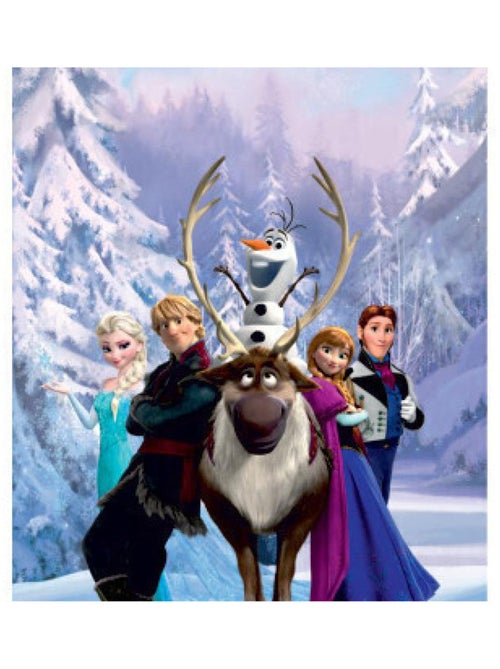 Poster Porte La Reine des Neiges Elsa Anna Olaf Sven Kristoff Hans de Disney intisse 90X202 CM - Kiabi