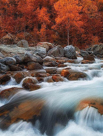 Poster Thème Autumn Rush - 360 x 270 cm