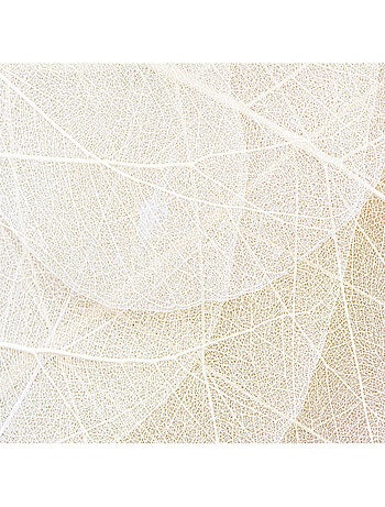 Poster Thème Chemins de Feuilles -Leaf Paths - 375 x 270 cm