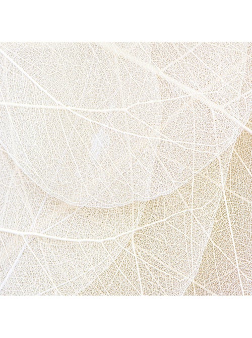 Poster Thème Chemins de Feuilles -Leaf Paths - 375 x 270 cm - Kiabi