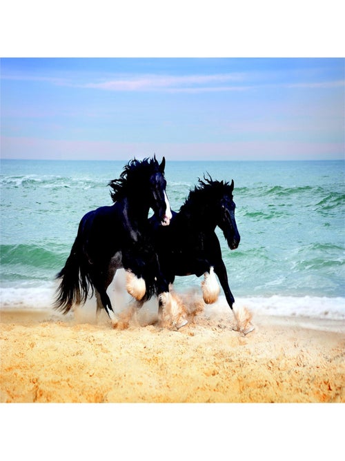 Poster Thème Chevaux - 375 x 270 cm - Kiabi