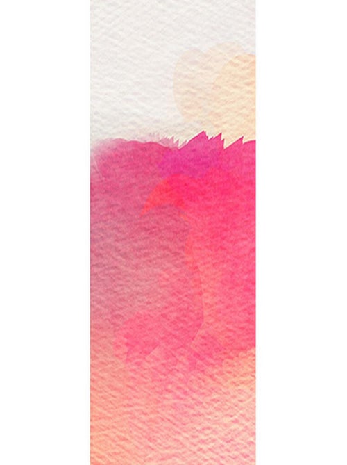 Poster Thème Dégradé de rose - 90 x 270 cm - Kiabi