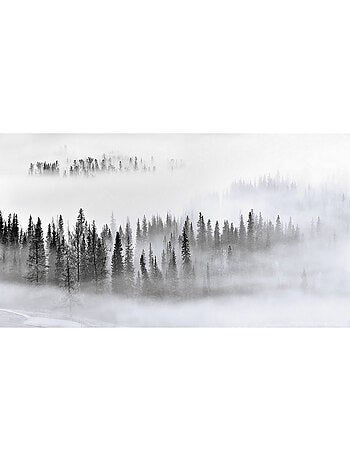Poster Thème Foggy Morning - 360 x 270 cm