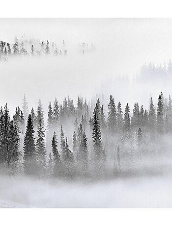 Poster Thème Foggy Morning - 360 x 270 cm