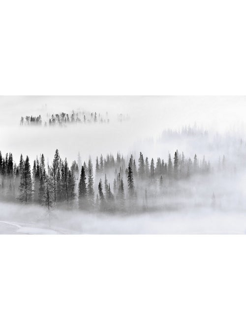 Poster Thème Foggy Morning - 360 x 270 cm - Kiabi
