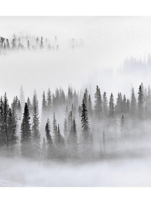 Poster Thème Foggy Morning - 360 x 270 cm - Kiabi