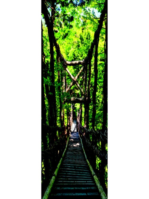 Poster Thème Forest Bridge - 90 x 202 cm - Kiabi