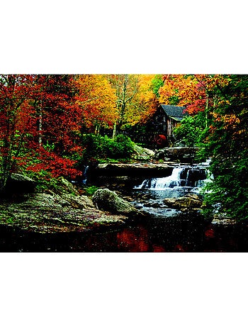 Poster Thème Forest House - 155 x 110 cm