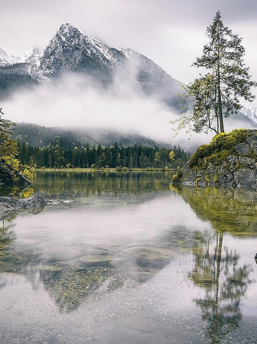 Poster Thème Forest Lake - 360 x 270 cm - Kiabi