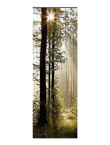 Poster Thème foret - 90 x 270 cm