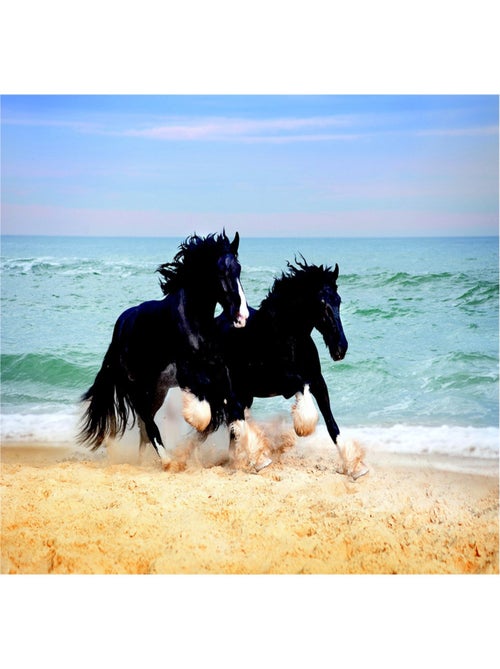 Poster Thème Horses On Beach - 155 x 110 cm - Kiabi