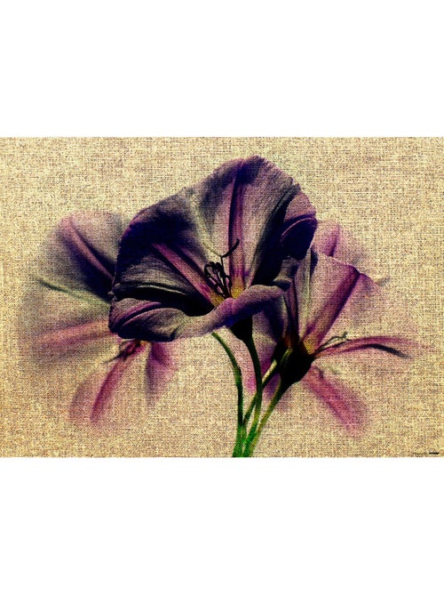 Poster Thème Lily On Canvas - 155 x 110 cm - Kiabi