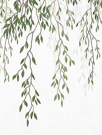 Poster Thème Oiseaux sur branches tombantes - 375 x 270 cm