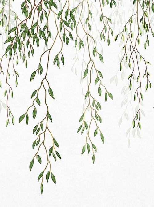Poster Thème Oiseaux sur branches tombantes - 375 x 270 cm - Kiabi