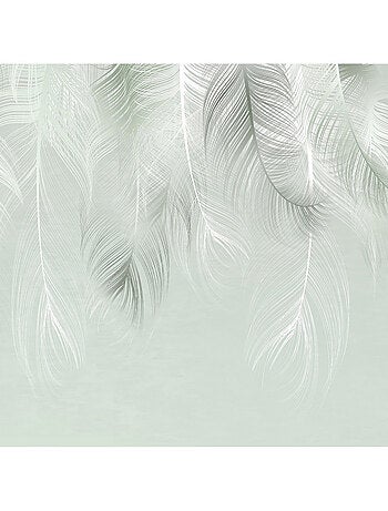 Poster Thème Rêve de Plumes -Feather Dream-- 375 x 270 cm