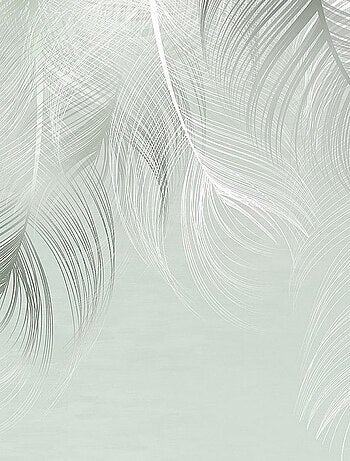Poster Thème Rêve de Plumes -Feather Dream-- 375 x 270 cm