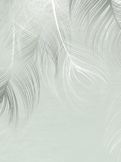 Poster Thème Rêve de Plumes -Feather Dream-- 375 x 270 cm - Kiabi