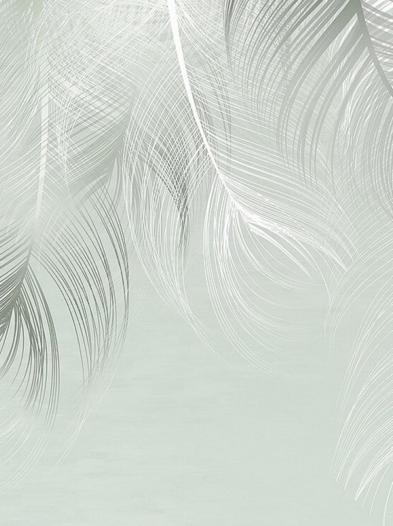 Poster Thème Rêve de Plumes -Feather Dream-- 375 x 270 cm Multicolore - Kiabi