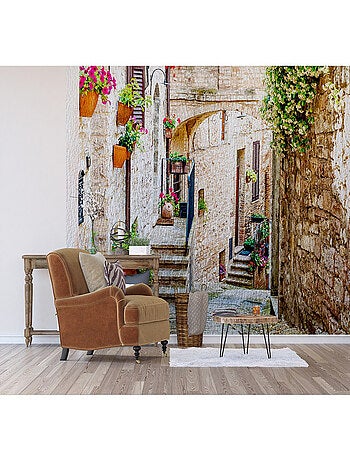 Poster Thème village maisons en pierre et plantes suspendues - 360 x 254 cm