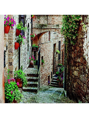 Poster Thème village maisons en pierre et plantes suspendues - 360 x 254 cm