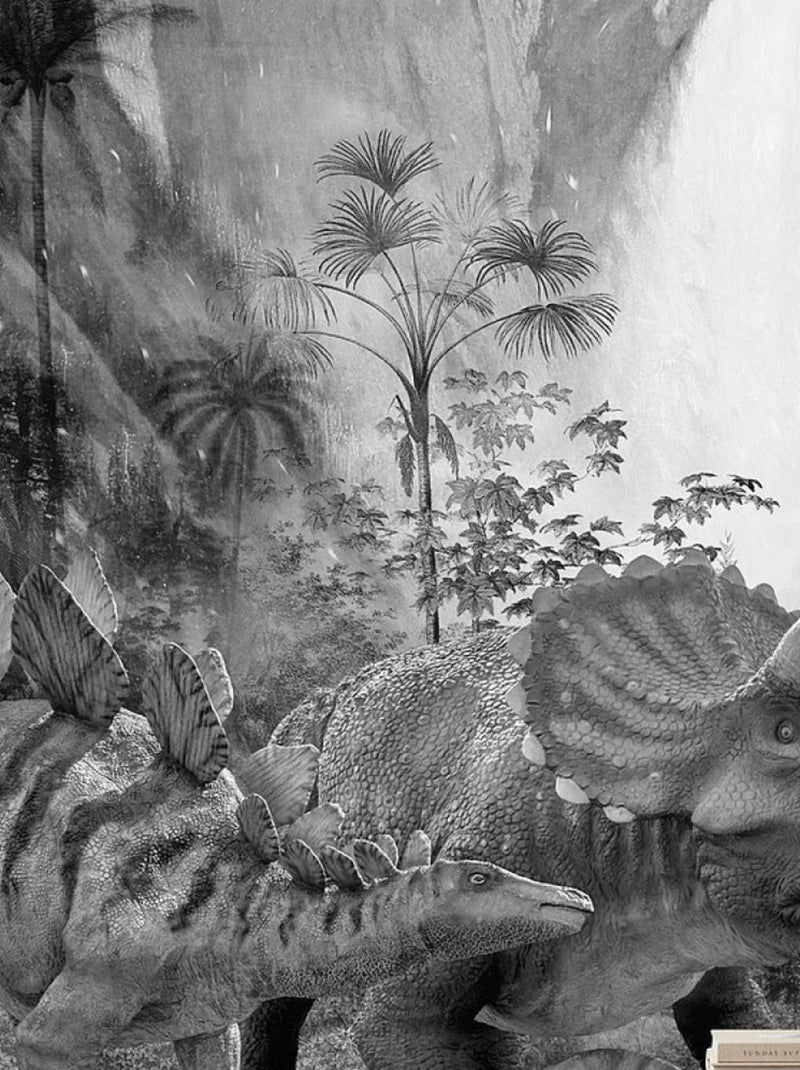 Poster XXL cascade dinosaure l200 x h280 cm Blanc - Kiabi