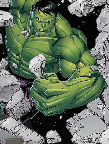Poster XXL Hulk Breaker Briseur de Carcasse l250 x H280 cm