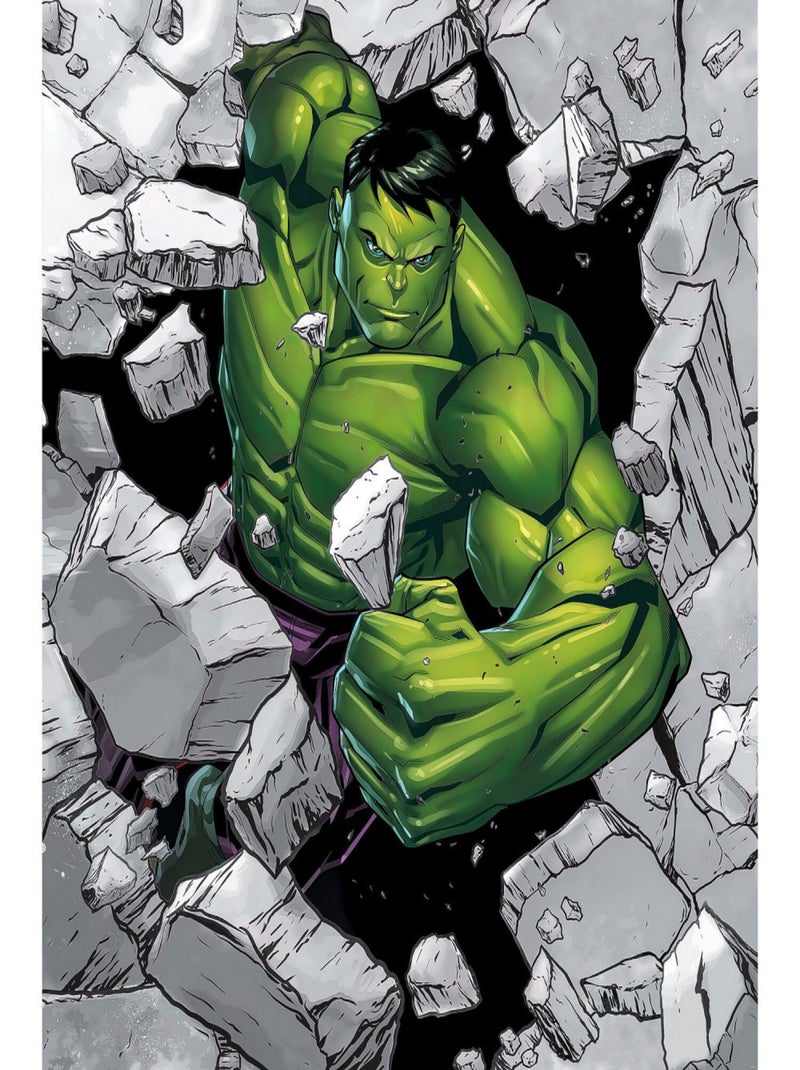 Poster XXL Hulk Breaker Briseur de Carcasse l250 x H280 cm Multicolore - Kiabi