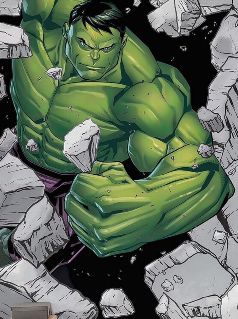 Poster XXL Hulk Breaker Briseur de Carcasse l250 x H280 cm Multicolore - Kiabi