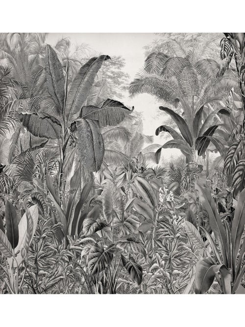 Poster XXL jungle en noir et blanc l350 x h280 cm - Kiabi