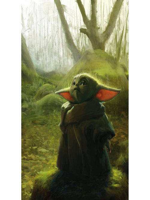 Poster XXL Mandalorian Bébé Yoda Grogu- acrylique - 200 cm - 280 cm - Kiabi