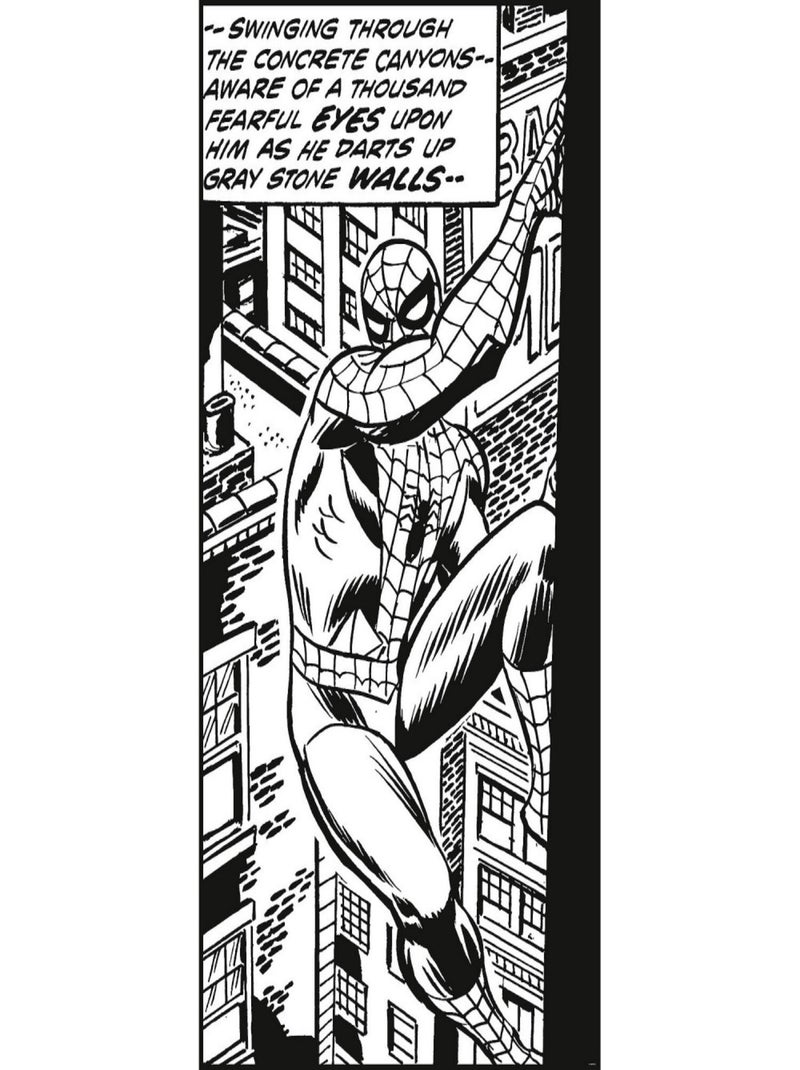 Poster XXL Spider-man Classique qui grimpe l100 x H200 cm Noir Noir - Kiabi