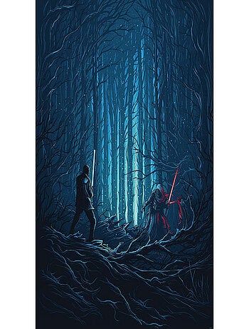 Poster XXL Star Wars Combat de Bois l200 x H280 cm