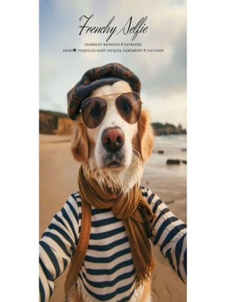 Posters de nos Régions - Affiche - Frenchy Selfie