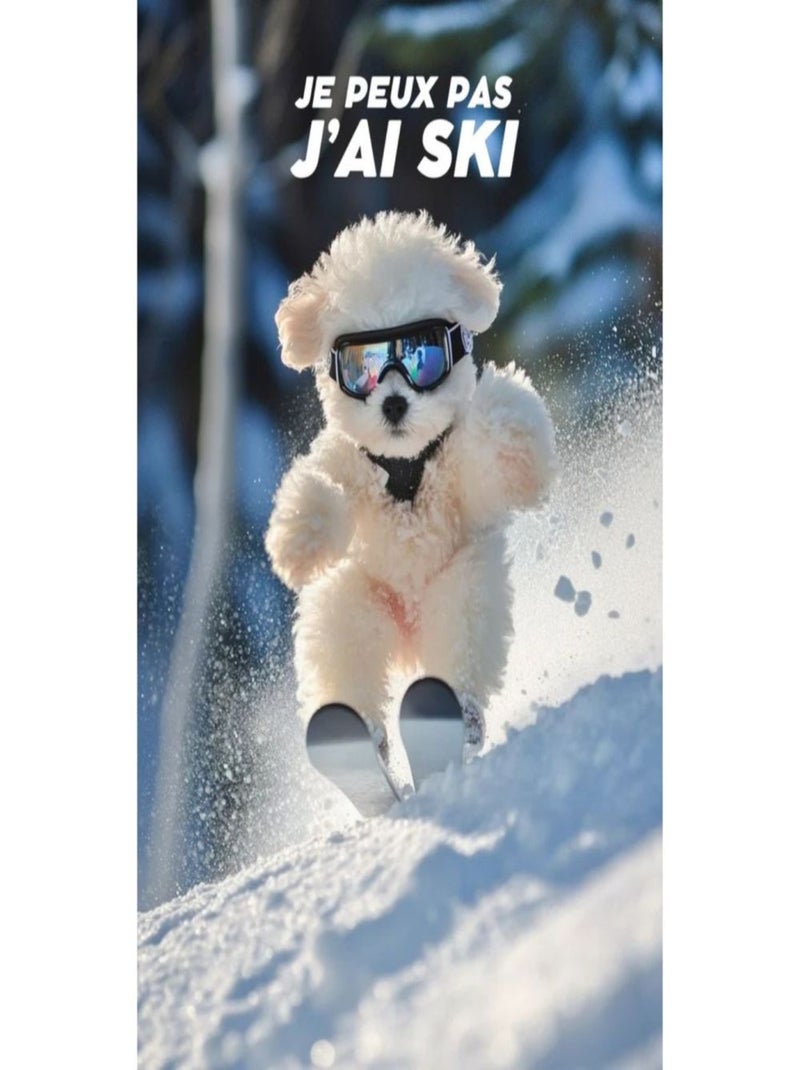 Posters de nos Régions - Affiche - Je peux pas j'ai ski Multicolore - Kiabi