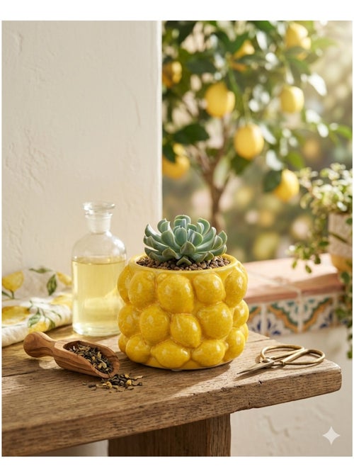 Pot de fleurs citron en céramique - Kiabi