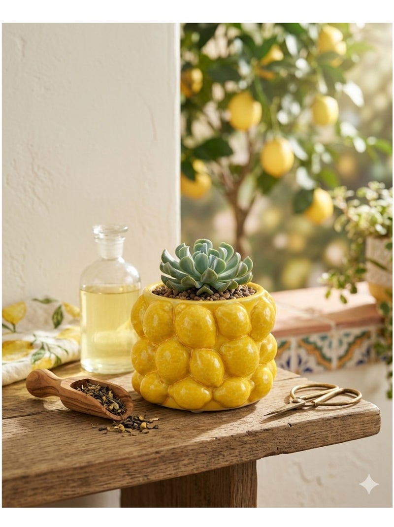 Pot de fleurs citron en céramique Jaune - Kiabi