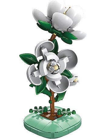 Pot de fleurs de camélia 301 pièces