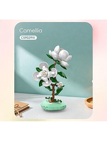 Pot de fleurs de camélia 301 pièces