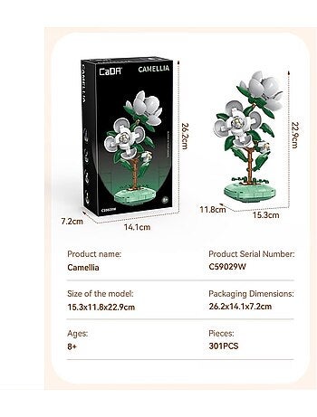Pot de fleurs de camélia 301 pièces