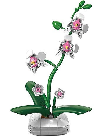 Pot de fleurs d'orchidée 237 pièces