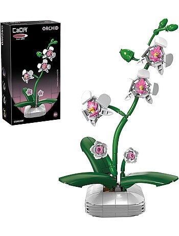 Pot de fleurs d'orchidée 237 pièces