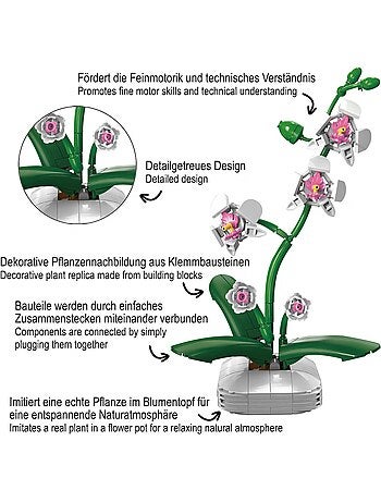 Pot de fleurs d'orchidée 237 pièces