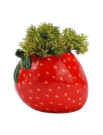 Pot de fleurs fraise en céramique