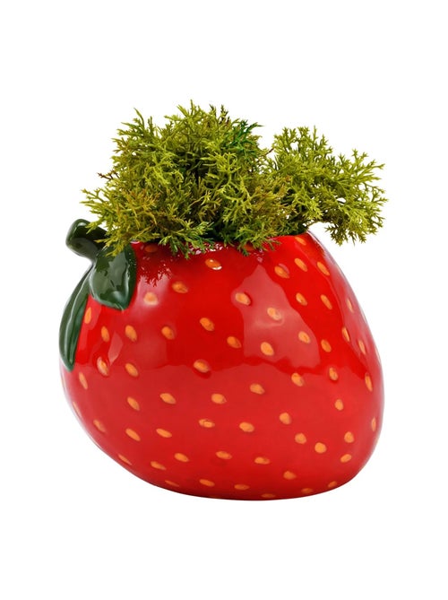 Pot de fleurs fraise en céramique - Kiabi