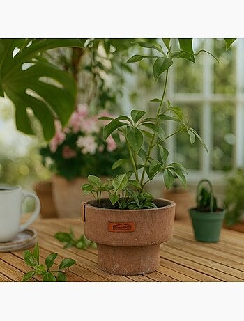 Pot effet terre cuite 12x17cm